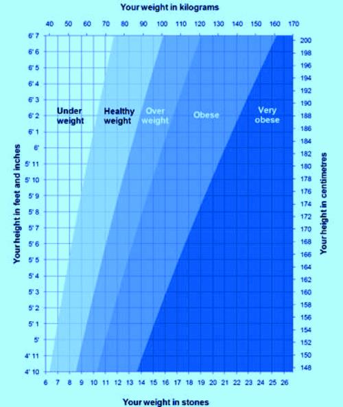 Height Increase Graph